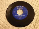 THE SIX TEENS/TRUDY WILLIAMS LOVE'S A FUNNY THAT WAY/DANNY FLIP 333 M-