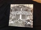 Dystopia/Embittered split Human=Garbage/Aftermath/Skaven/Greif...