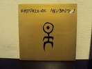 EINSTÜRZENDE NEUBAUTEN - Kollaps