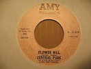 CENTRAL PARK-FLOWER HILL 45 wah wah sitar 60s PSYCH Eastern popsike Wes Farrell