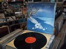 Locanda Delle Fate ?– Forse Le Lucciole Non Si Amano Più - LP - Progressive