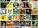 SEALED PEARL JAM No Code Original LP E 67500 Grunge FREE CShipping