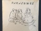 Rare PRIVATE Latin LP PARACUMBE Bomba Y Plena PUERTO RICO Hear mp3
