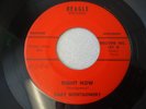 Rockabilly 45 Gray Montgomery Beagle Records Right Now nice clean early 60's MP3