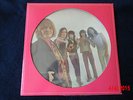 Rolling Stones  Picture Disc Bildplatte  France Decca  Pop  LP mit Brian Jones
