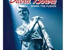 DAVID BOWIE AUSTRALIA 1978 CONCERT TOUR LIMITED NUMBERED GOLD COLORED VINYL LP