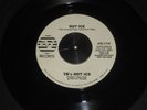 TR'S HOT ICE  soul / reggae  HOT ICE / FATTY BUM BUM listen AVI promo VG++ mp3