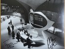 The Jayhawks Paging Mr. Proust 2LP White Vinyl NEW Signed Autographed Limited