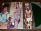 EVERCLEAR SPARKLE AND FADE LP GREEN VINYL RARE ORIGINAL 1995 QOTSA FOO FIGHTERS