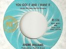ANDRE WILLIAMS You Got It And I Want It  RIC TIC DETROIT  NORTHERN SOUL 45