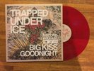 TRAPPED UNDER ICE ANGEL DU$T TURNSTILE SAI NAM DOWN TO NOTHING FOUNDATION EXPIRE