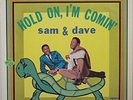 SAM and DAVE 