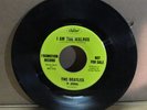 Beatles I Am The Walrus Hello Goodbye LIME GREEN PROMO LABEL CAPITOL VG