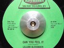 MODERN SOUL 45 Lillian Alexander A Dream Without You Can You Feel It (Reynolds)