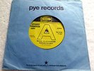 The Bystanders ROYAL BLUE SUMMER SUNSHINE DAY uk PICCADILLY 1967 DEMO