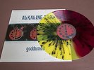 Alkaline Trio - Goddamnit 12