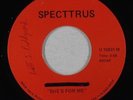 Punk 45 - Scott Peddcord - She's For Me - Specttrus - mp3 - obscure