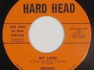 Garage Fuzz Psych 45 - Friends - My Land - Hard Head - VG+ mp3