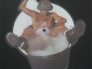 AC/DC: You shook me all night long / She's got balls (Live) Shaped Picture Disc