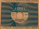 Positively Thirteen O'Clock Psychotic Reaction 45 M- 1966 Garage Rock HBR 500
