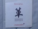 Chumbawamba Revolution  7