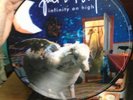 Fall Out Boy - Infinity On High 2007 LP Picture Disc 12