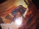 Weezer Records Pinkerton Hurley Everything will be alright in the end