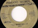 Rare MODERN SOUL BOOGIE 45 - JUNEI - YOU MUST GO ON - PHARAOHS GARY INDIANA