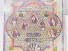 LYNYRD SKYNYRD-SECOND HELPING ON MCA / SOUNDS OF THE SOUTH ROCK LP-SEALED