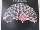 RAMP-COME INTO KNOWLEDGE ON ABC BLUE THUMB FUNK JAZZ LP-NM, PROMO, ROY AYERS