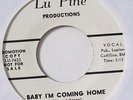 MACK RICE-BABY I'M COMING HOME /MY BABY - WLP ON LU PINE R&B NORTHERN 45