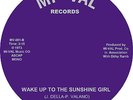 WAKE UP TO THE SUNSHINE GIRL Joey Delorenzo*NORTHERN SOUL*