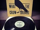 THE LOW ANTHEM What The Crow Brings VINYL LP SCARCE Jocie Adams
