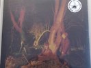 ECHO AND THE BUNNYMEN Crocodiles LIMITED RED VINYL 2013 (Record Store Day 2013)