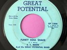 * E.T. WHITE & GREAT POTENTIAL BAND Funky Soul Shake/Psycho RARE DC FUNK 45 HEAR