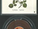 2 Spur Tonband Reel to Reel : Joseph Cooper - To a wild rose (Mozart, Chopin ua)