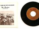 The Benders - Can't Tame Me - rare 45RPM record with picture sleeve 1966 classic