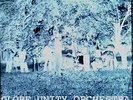 GLOBE UNITY ORCHESTRA GOOD BYE GORDON JENKINS BAVARIAN CALYPSO SINGLE FMP NM