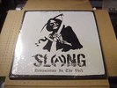 LP:  SLANG - Devastation In The Void  NEW SEALED JAPAN HARDCORE PUNK