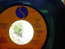 Ramones - We Want The Airwaves USA 1981 Translucent Mono/Stereo Promotional 7