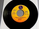 Ramones - I Wanna Be Your Boyfriend USA 1976 Sire Promotional 7