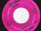 Houston Deep Soul / Funk 45 ARDIS TURNER Hold On To What I Feel SKANN
