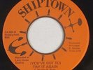 70s Soul 45 - Barbara Stant - You've Got To Try It Again - Shiptown - VG+ mp3