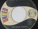 Funk/Deep Soul 45 - Black Exotics - Theme Of Blackbyrds - United - mp3