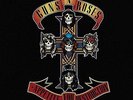 Guns N' Roses ?– Appetite For Destruction (2008)  Vinyl LP  NEW  SPEEDYPOST