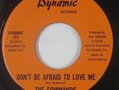 Northern Soul 45 - Commands - Don't Be Afraid To Love Me - Dynamic - VG++ mp3