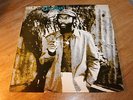 DESI ROOTS - DOING IT RIGHT - HAWKEYE - RARE ROOTS - EXCELLENT