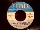 Original Pebbles and Bamm Bamm of the Flintstones 45 on HBR
