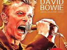 DAVID BOWIE In memory of David Bowie - LP / Vinyl - Limited Collectors Edition