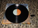 Blink 182 Dude Ranch Deluxe Black vinyl  SRC